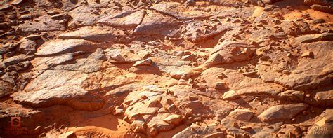 Daniel Thiger Cracked Desert Bedrock
