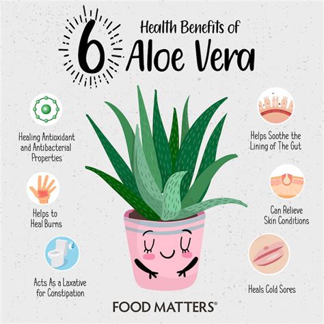 6 Health Benefits Of Aloe Vera 3 Simple Ways To Use It Food Matters®