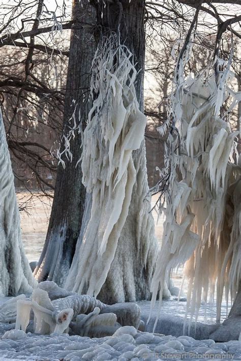 When news of the shooting broke on monday night, one user posted: Beautiful shot by TR Stewart Photography taken at Reelfoot ...