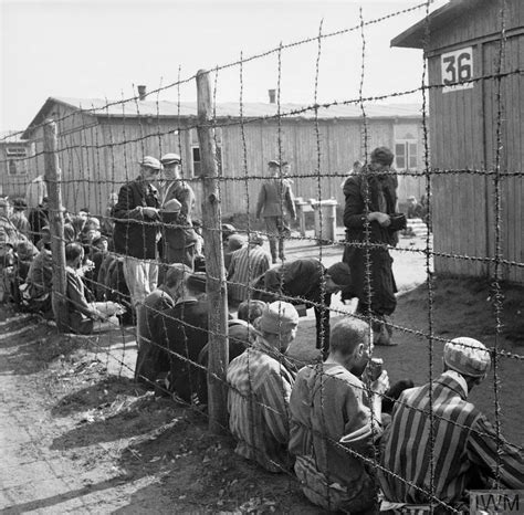 けまで Holocaust The Liberation Of Auschwitz Dvd Import 輸入盤 010d367ff327 Kafkalotta 通販 ホビー・