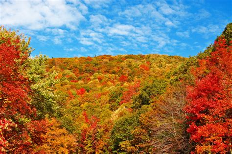 You Must Visit These 10 Awesome Places In Tennessee This Fall