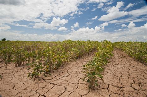 Studies suggest that the increase in greenhouse emissions in the 20th century. Climate change sets new challenges for Azerbaijan