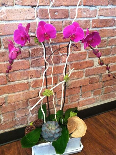 Fuschia Phaelonopsis Orchid Planter In Chicago Il Mudd Fleur