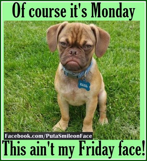 Its My Monday Face Happy Monday Quotes