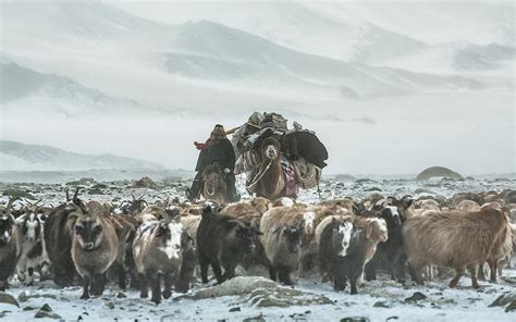 Mongolia Life As A Nomad In The Worlds Least Crowded Country