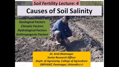Causes Of Soil Salinity Youtube
