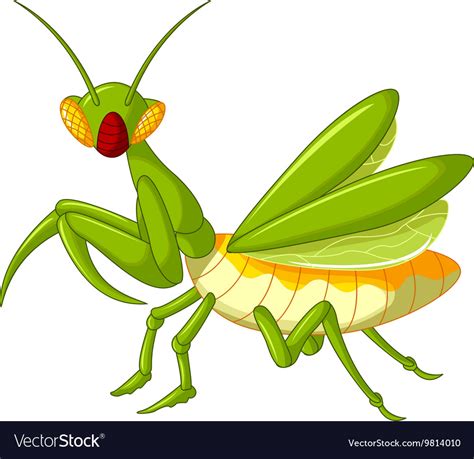 Praying Mantis Grasshopper Cartoon Royalty Free Vector Image