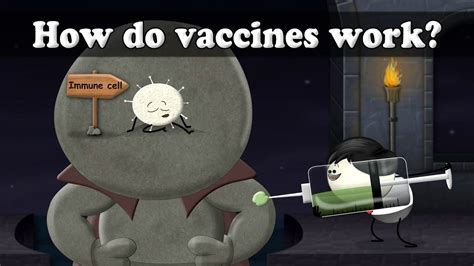 These are identified by cells in the human body called. How do vaccines work? | #aumsum - ボイスチューブ (VoiceTube)《動画で ...