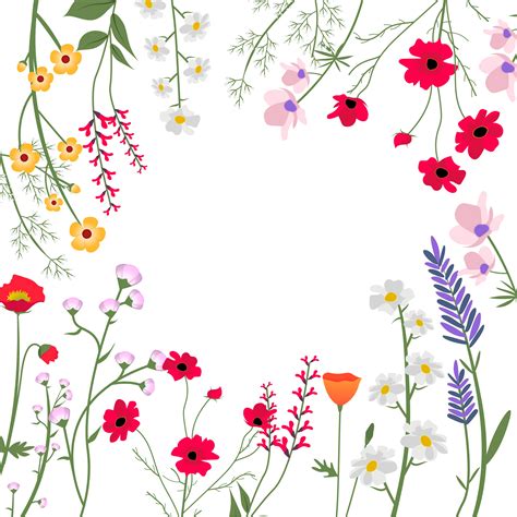 Wild Flowers Vector Illustration Download Free Vectors Clipart