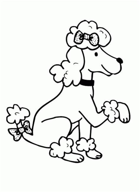 Free Poodle Coloring Pages Coloring Home