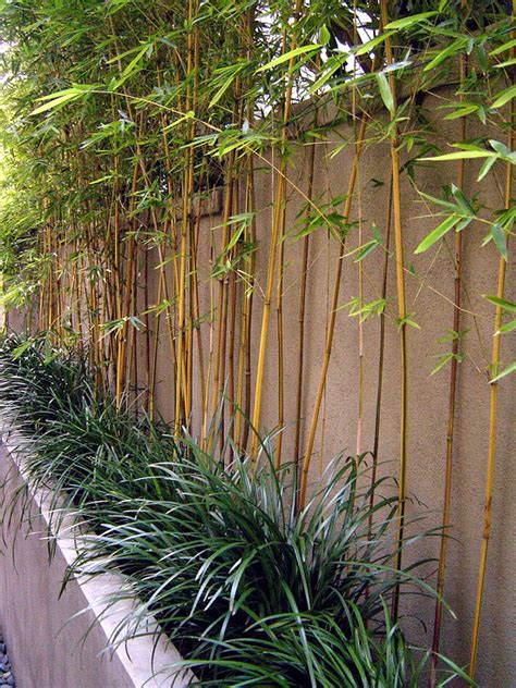 I happened to have some really inexpensive tin pots that had seen better days so that's what i've used here to create a little vertical garden above my bench. 56 ideas for bamboo in the garden - out of sight or decoration? | Interior Design Ideas - Ofdesign