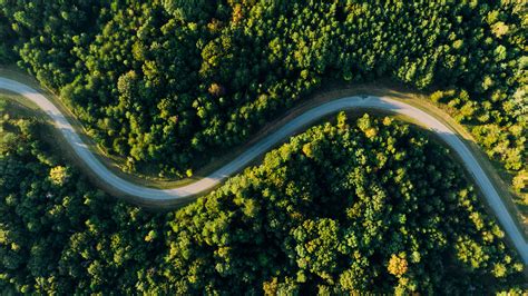 Aerial Photo Of Empty Meandering Road In Between Forest · Free Stock Photo