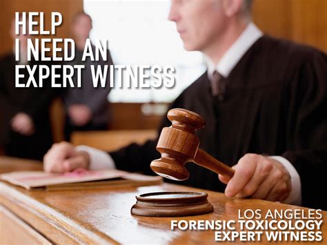 What Exactly Is An Expert Witness? Do I Need One?