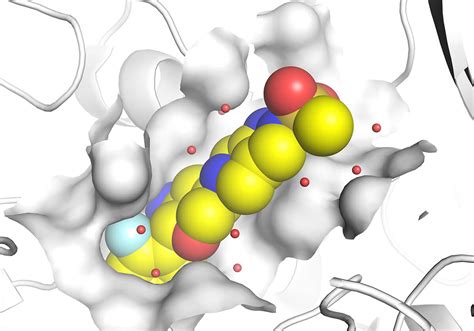 Structural Biology Nanoimaging Services