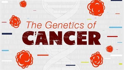 The Genetics Of Cancer Infographic Technology Networks