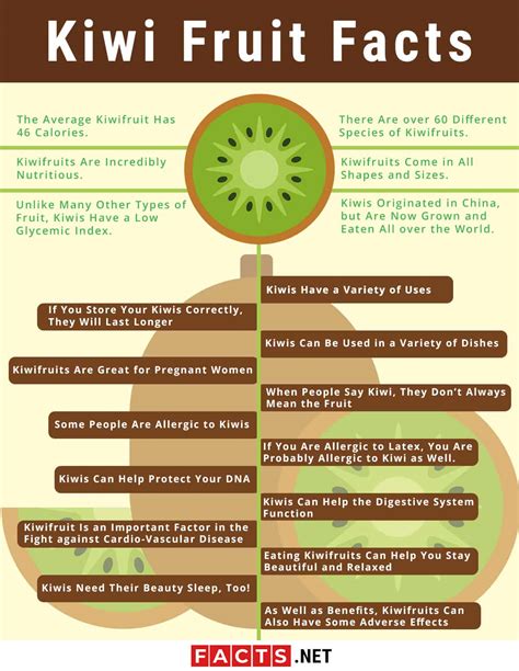 Top 20 Kiwi Fruit Facts Types Benefits Calories And More