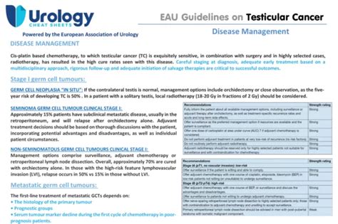 Testicular Cancer Disease Management Uroweb Hot Sex Picture