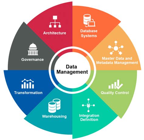 Establishing Data Management Office