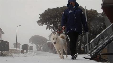 Australian Weather Cold Fronts Bring Early Snowfall To Australian Alps