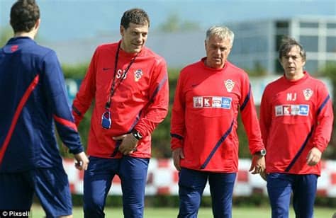 Vezi ultimele știri despre nikola terzic acum. Slaven Bilic's West Ham United backroom staff: Nicola ...
