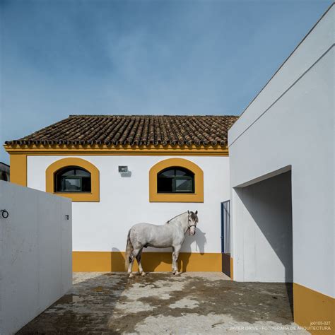 Decoración cerámica ebanistería artística vaciado y moldeado artísticos. Actuaciones en la Real Escuela Andaluza de Arte Ecuestre ...
