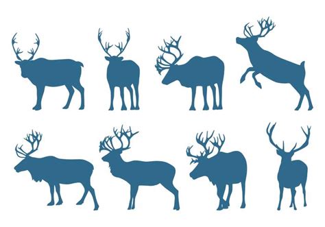 Deer Collection Silhouettes 151655 Vector Art At Vecteezy