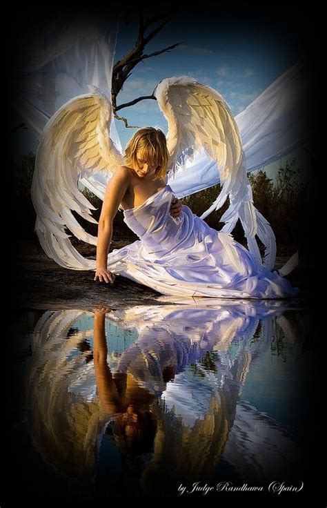 Angel Pictures Images Graphics Page 21
