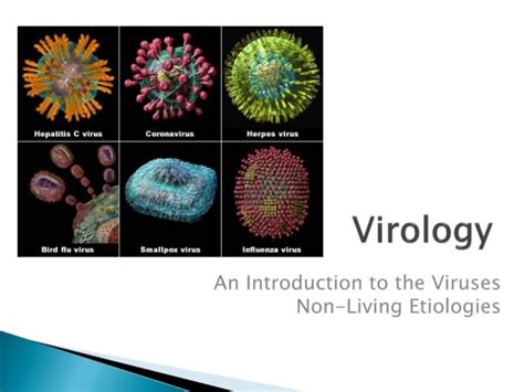 Ppt Virology Powerpoint Presentation Free Download Id9161596 In