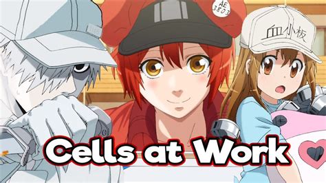 Cells At Work Review 2018 Tv Show Series Cast Crew Online