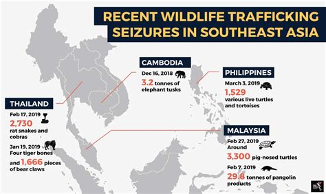 wildlife trafficking traders go online kata malaysia