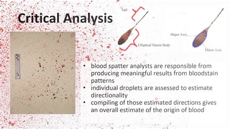 Forensics Blood Spatter Youtube