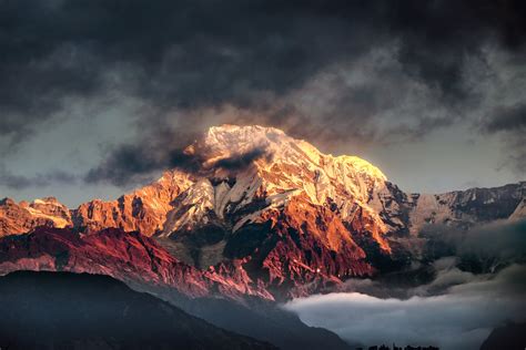 Annapurna South At Sunrise Nepal Zwz Picture