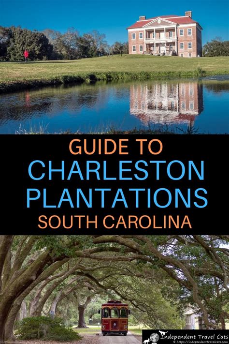 Defines the boundary of the cell. Charleston Plantations Guide: 6 Plantations near ...