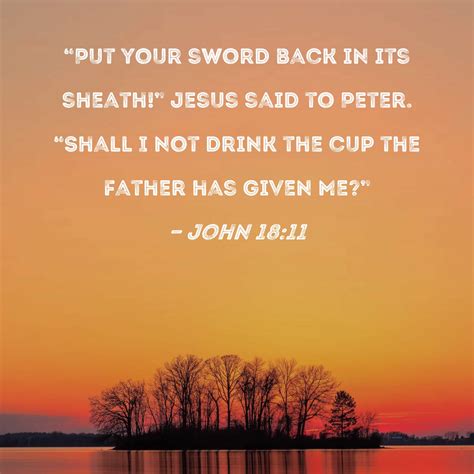 John 1811 Put Your Sword Back In Its Sheath Jesus Said To Peter