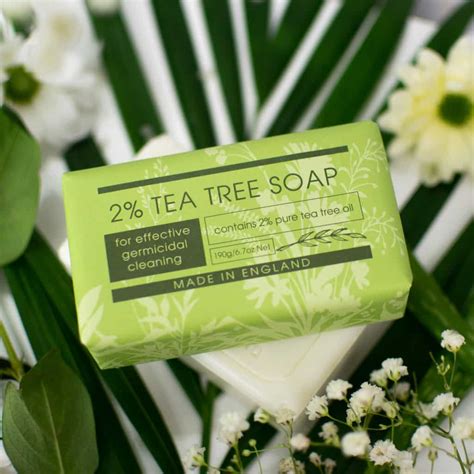Take Care 2 Tea Tree Soap The English Soap Company