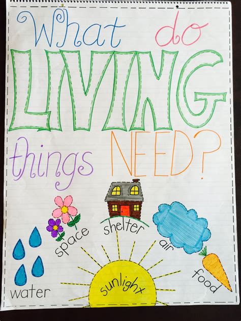 Needs And Wants Anchor Chart