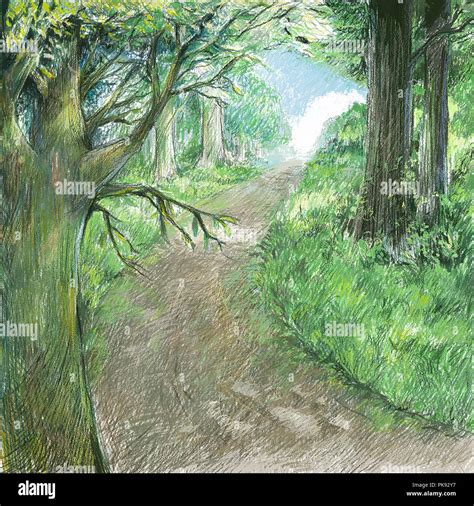 Beautiful Forest Scenery Drawing Learn Draw Traditional Digital
