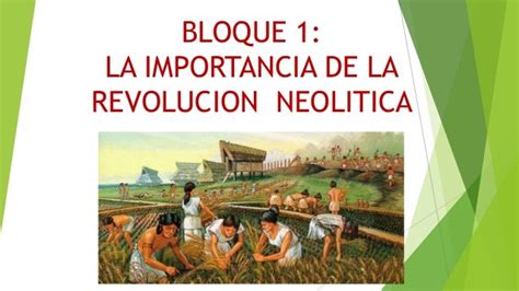 Importancia De La Revolución Neolítica