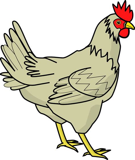 Ayam Unggas Induk Gambar Vektor Gratis Di Pixabay