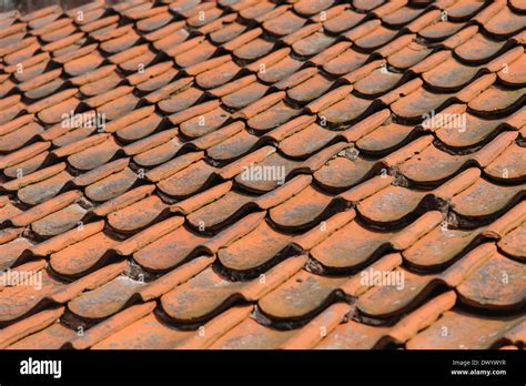 A Traditional Red Pantile Roof On A Scottish Cottage Stock Photo