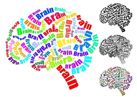 Brain Text Stock Vector Illustration Of Color Motivation 27645643
