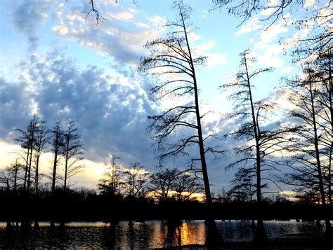 Maumelle Swamp Sunset With Clouds Sunset With Clouds Photo Photo Board