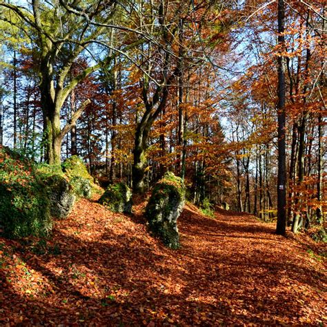 À lazer ou negócios, conte com a nstur para ter uma experiência memorável em. Natururlaub Deutschland | Natur Erleben