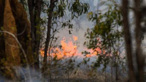 Fire Traps Kills Farmer As Sydney Prepares To Swelter The West