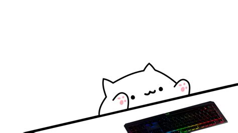 Bongo Cat Meme Wallpapers Top Free Bongo Cat Meme Backgrounds