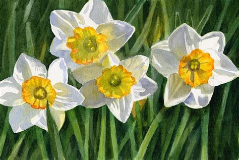 Four Small Daffodils Painting By Sharon Freeman Pixels