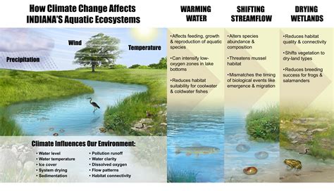 Aquatic Ecosystems in a Shifting Indiana Climate: A Report from the ...