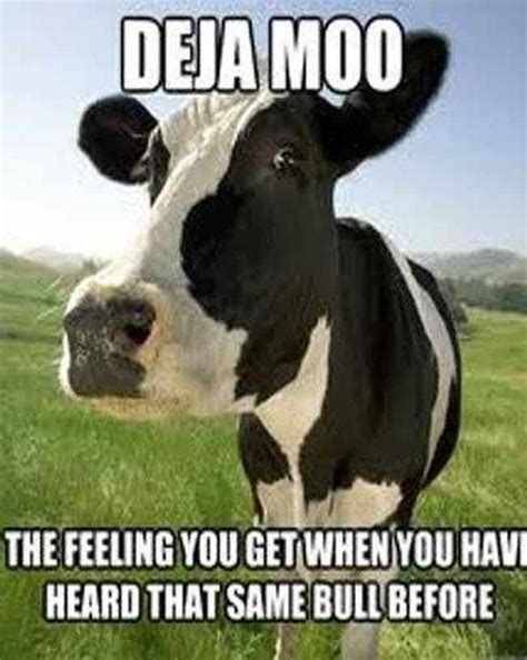 Deja Moo 080220 Cow Meme Cow Puns Farm Animals Funny Animals