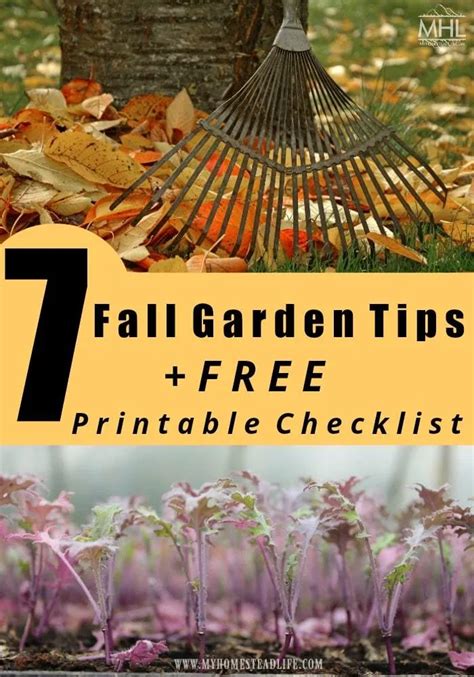 Helpful Tips For Autumn Update Of Your Garden