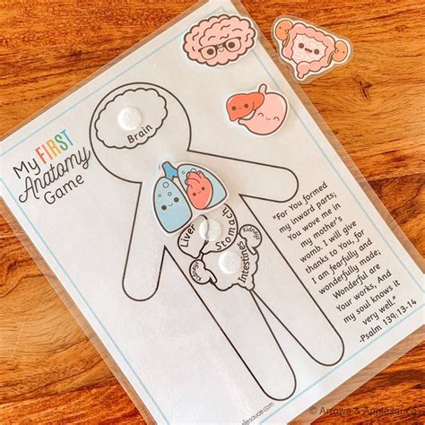Anatomy Game Printable Human Body Preschool Activity About Me Kids